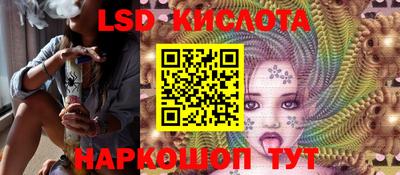 шишки Будённовск