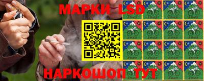 шишки Будённовск
