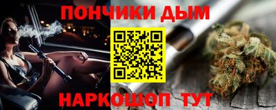 шишки Будённовск