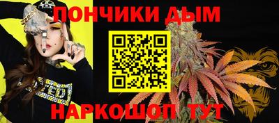шишки Будённовск