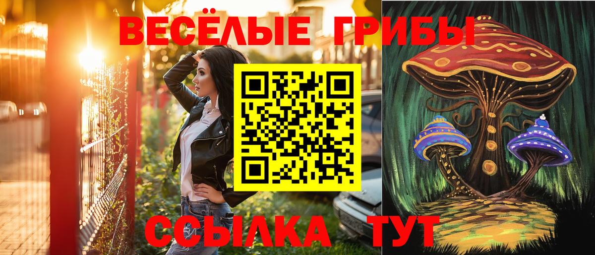 Псилоцибиновые грибы мухоморы Одинцово