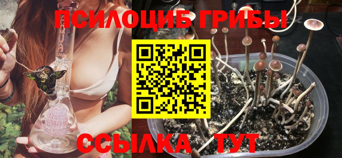 Одинцово  что такое наркотик  Вход с VPN  Псилоцибиновые грибы мицелий 